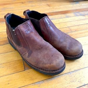 Irish setter Chelsea boots